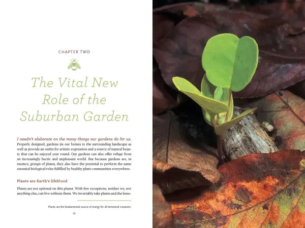 Bringing Nature Home: How You Can Sustain Wildlife with Native Plants