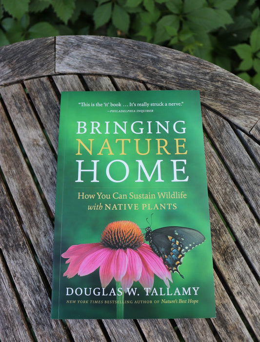 Bringing Nature Home: How You Can Sustain Wildlife with Native Plants
